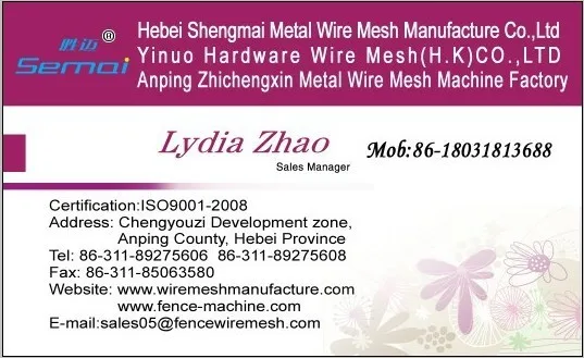 Lydia Zhao 