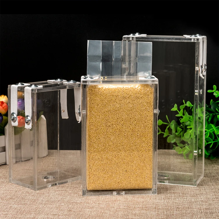 polysmarts 2019 China Manufacturer Back Seal Transparent Plastic Bag