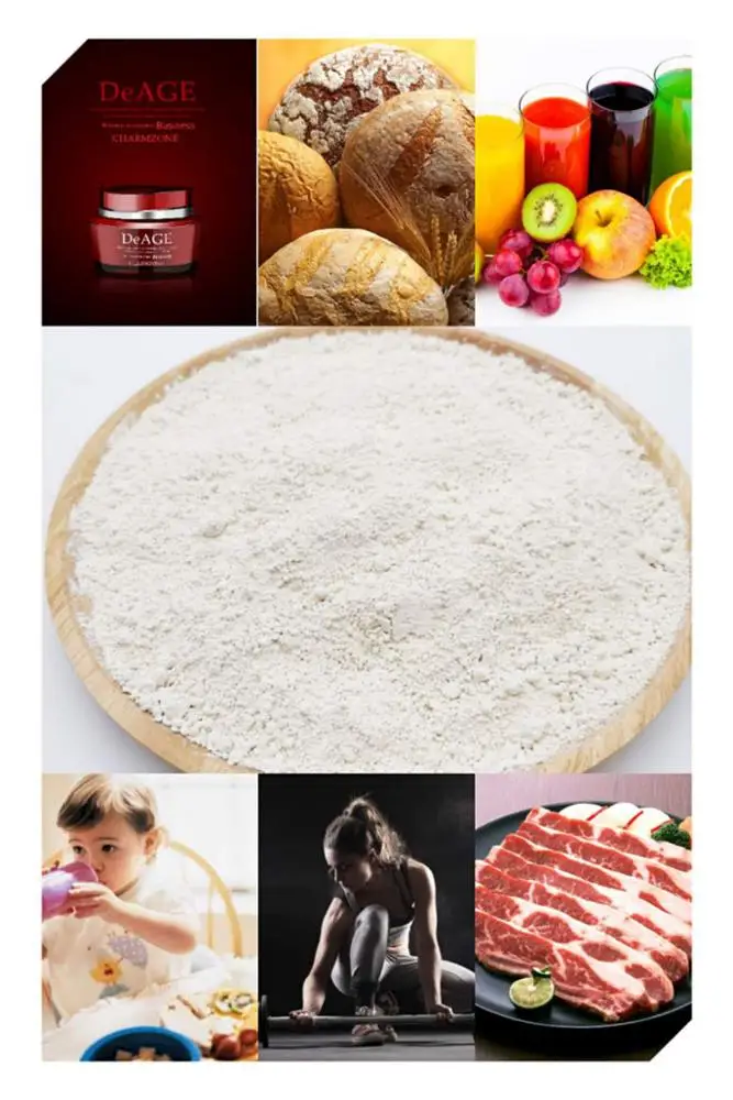 2019 Best Quality Non-GMO  Rice Protein Powder