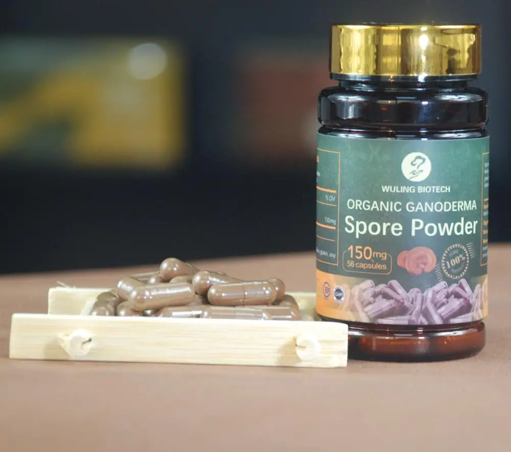 Лидер продаж порошковые капсулы с семенами грибов Ganoderma Reishi Lingzhi
