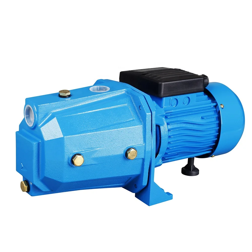 DACHENG JET250A 110V 220V 750W 1hp House Use Surface Electric Motor Pressure Pumps Water Jet Ski Pump
