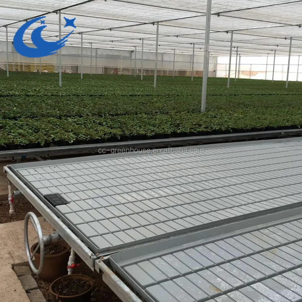 China Chenchao Factory Greenhouse ebb and flow Rolling bench plastic trays/tables