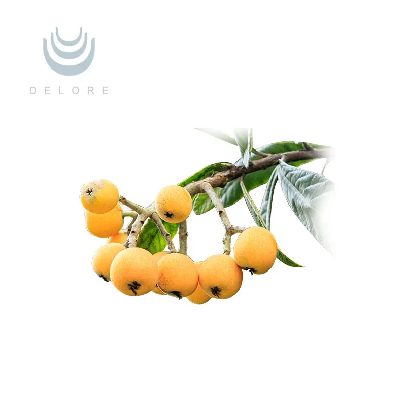 Eriobotrya Japonica Leaf Loquat Leaf Extract Ursolic Acid