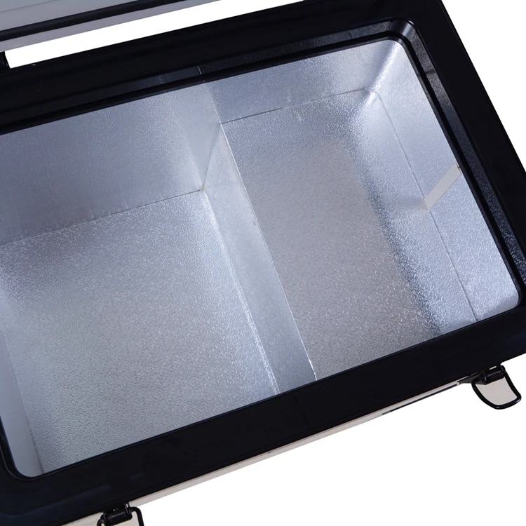 BR60 Car portable fridge/freezer