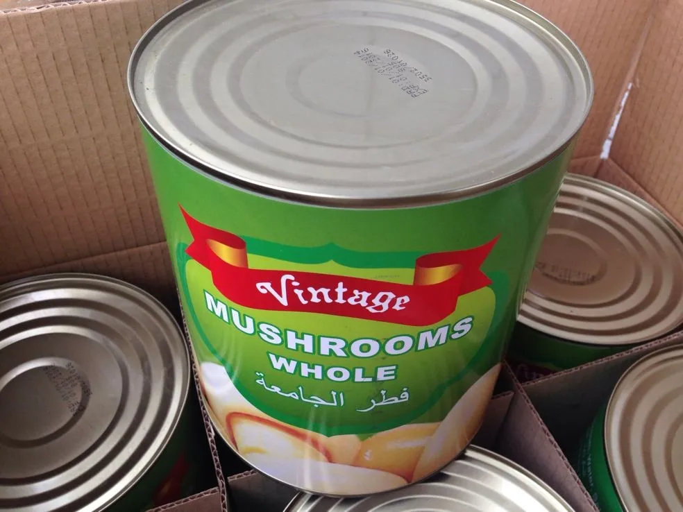 
Canned oyster mushroom 425G for Turkey Market 