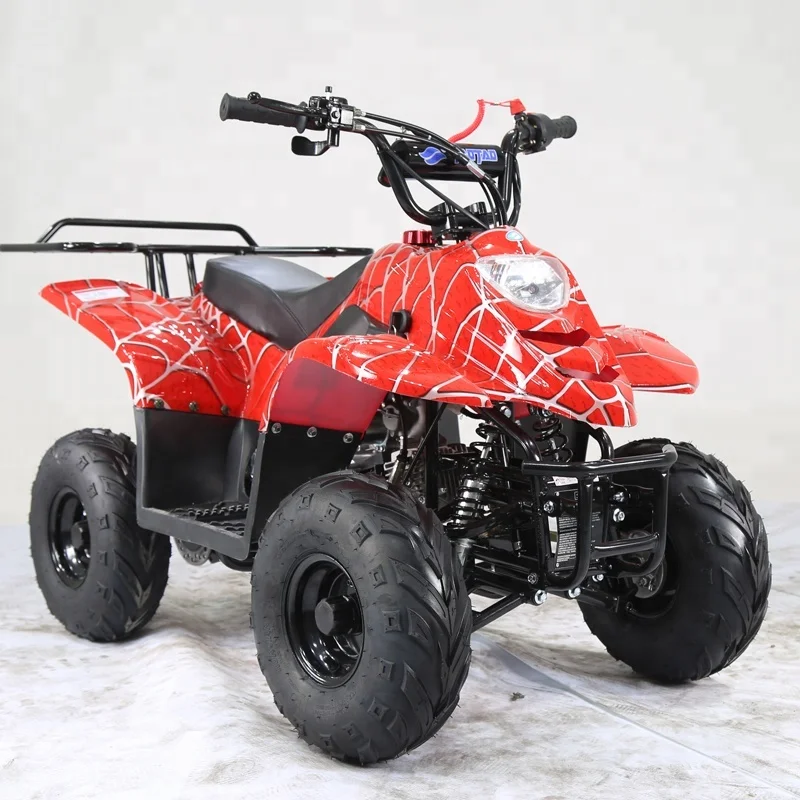 Tao Motor ATA110-B1 110cc Kids ATV for sale