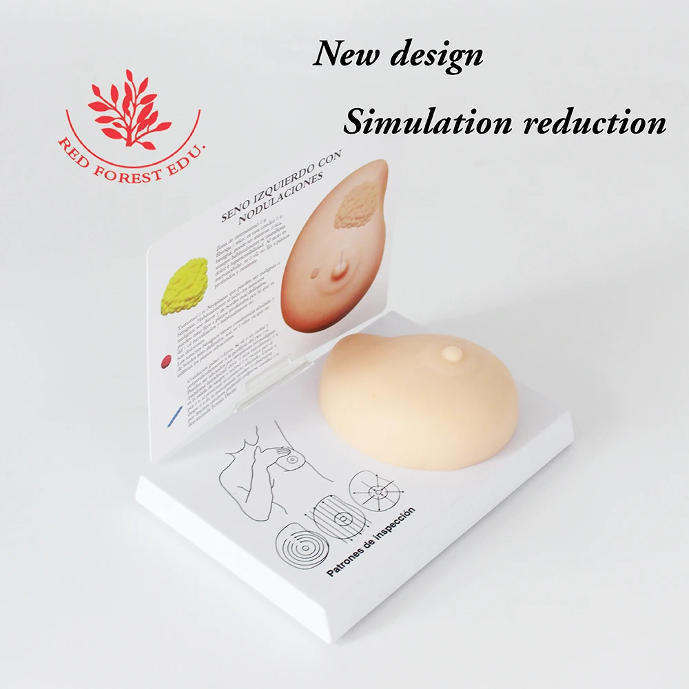 Breast Examination Simulator Milk Guidance Advanced Breast Nursing Practice Model Female Breast Model
