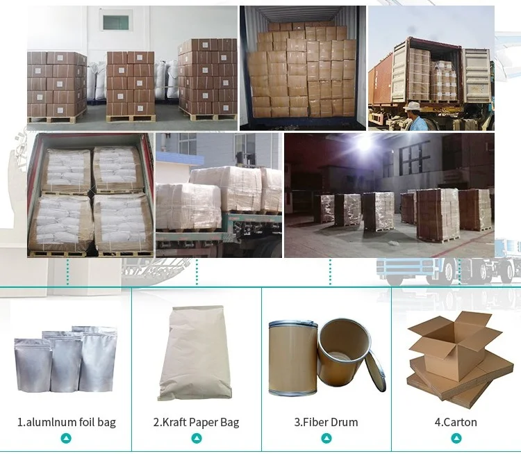 
Friendly Plant Herb Tarragon Extract With Best Price 