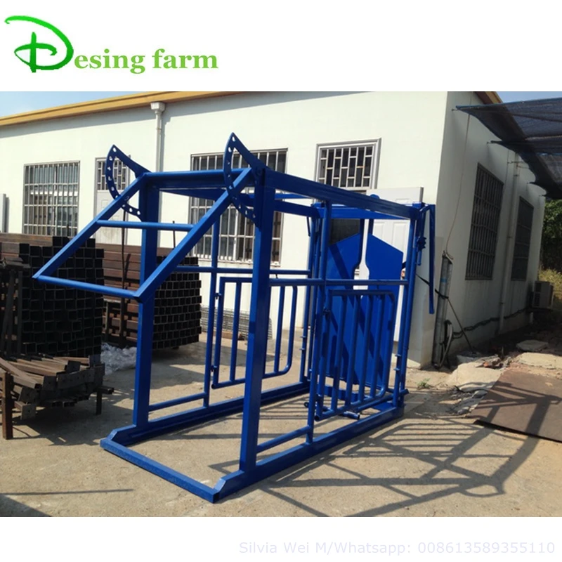 livestock equipment cattle cow dairy squeeze chute crush crate with weighing scale