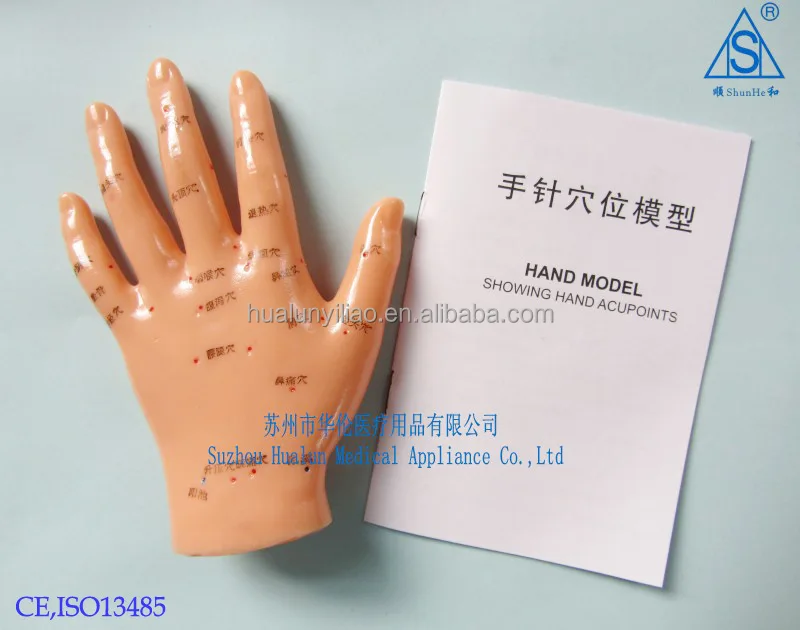 ручной 13см акупунктуры модели пвх для обучения использованию