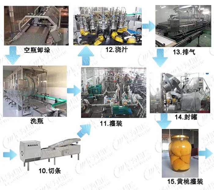 China brand Automatic peach fruit canning machine