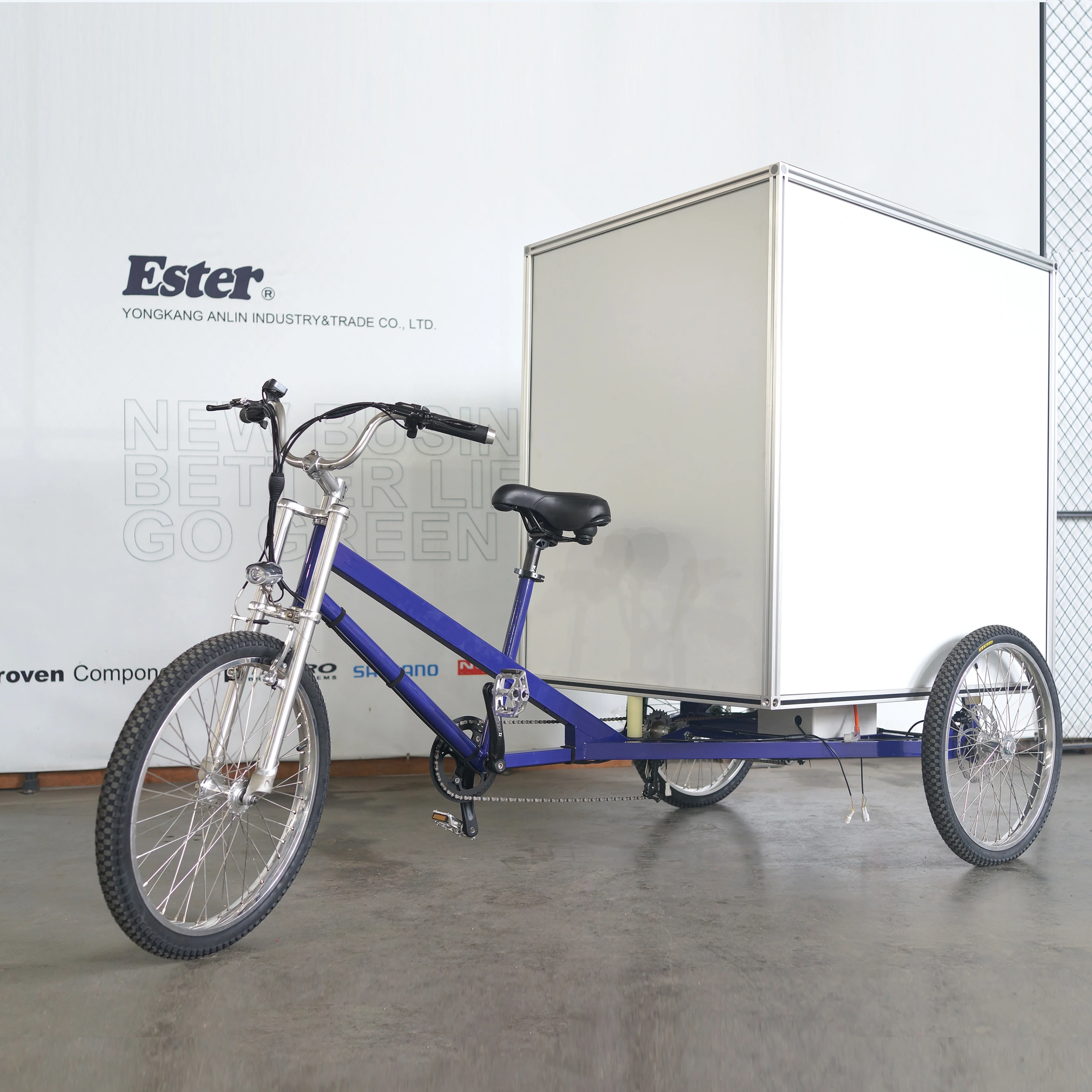 3 Wheels  Electric Cargo Trike for Adult