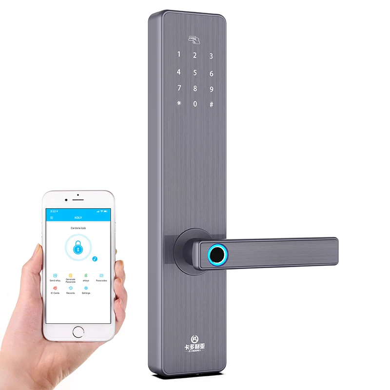 BT Wifi Smart Door Lock Electronic Digital Code RFID Card TTLock App Hotel Door Lock Security System