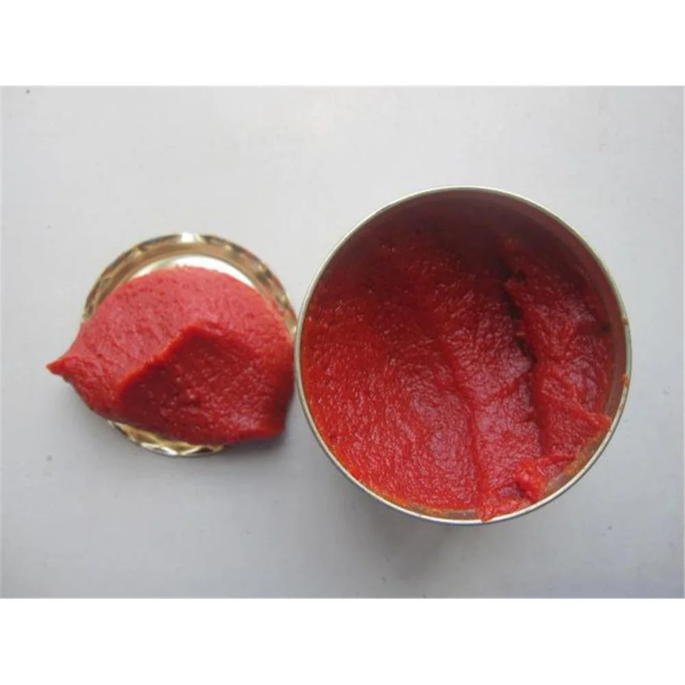 Good quality 22-24% 28-30% brix 800g tomato paste from factory