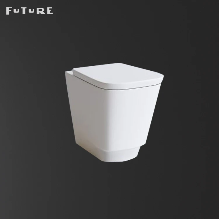
Bathroom Water Cistern Hidden Rectangular Ceramic Wc China One Piece Bathroom Sanitary Ware Wc Toilet Flush Pipe Component UPC 