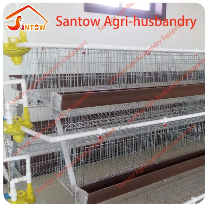 
Hot Galvanized Chicken Poultry Cages Cold Galvanized Cage tunnel ventilated poultry house For Sale Nigeria Africa 