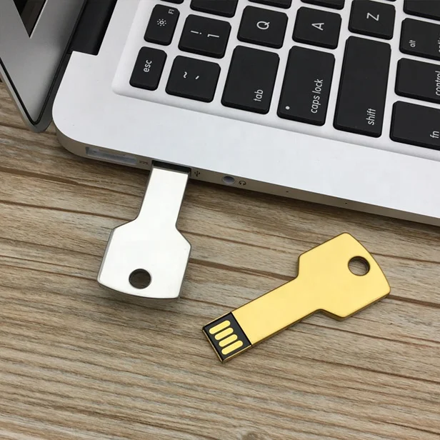 
Custom pendrive Key Shape Usb Usb flash drive 4gb 8gb 