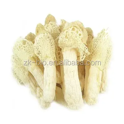 Сушеные грибы Dictyophora Indusiata