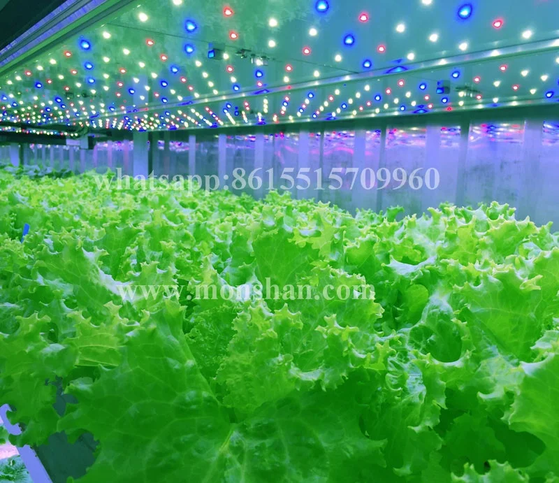 
Shipping Container Hydroponic Farm | Microgreen Growing System For Sale 