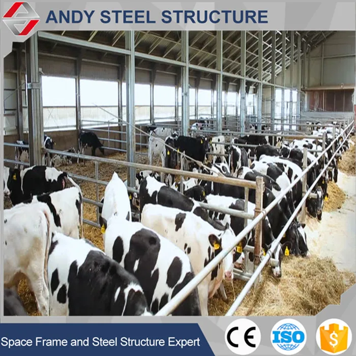 Prefab steel structure dairy cow shed farm