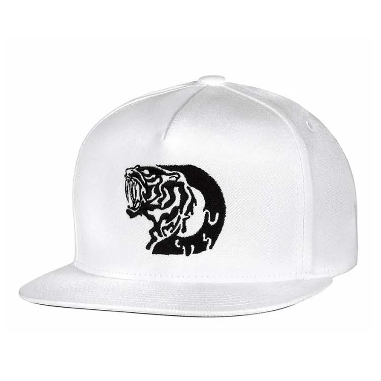 Custom Hip Hop Hats Fashion Design snap back caps