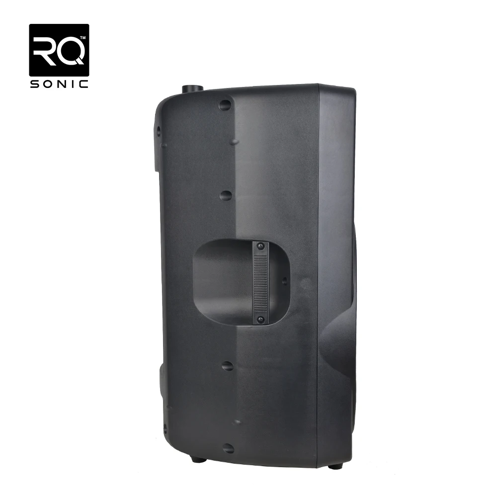 RQSONIC CMS15APU Professional 15 Inch 300W Powerked Speaker Build in Amplified Speaker With USB Port Dj