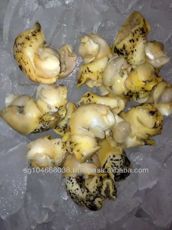 Frozen Cooked Whelk Meat