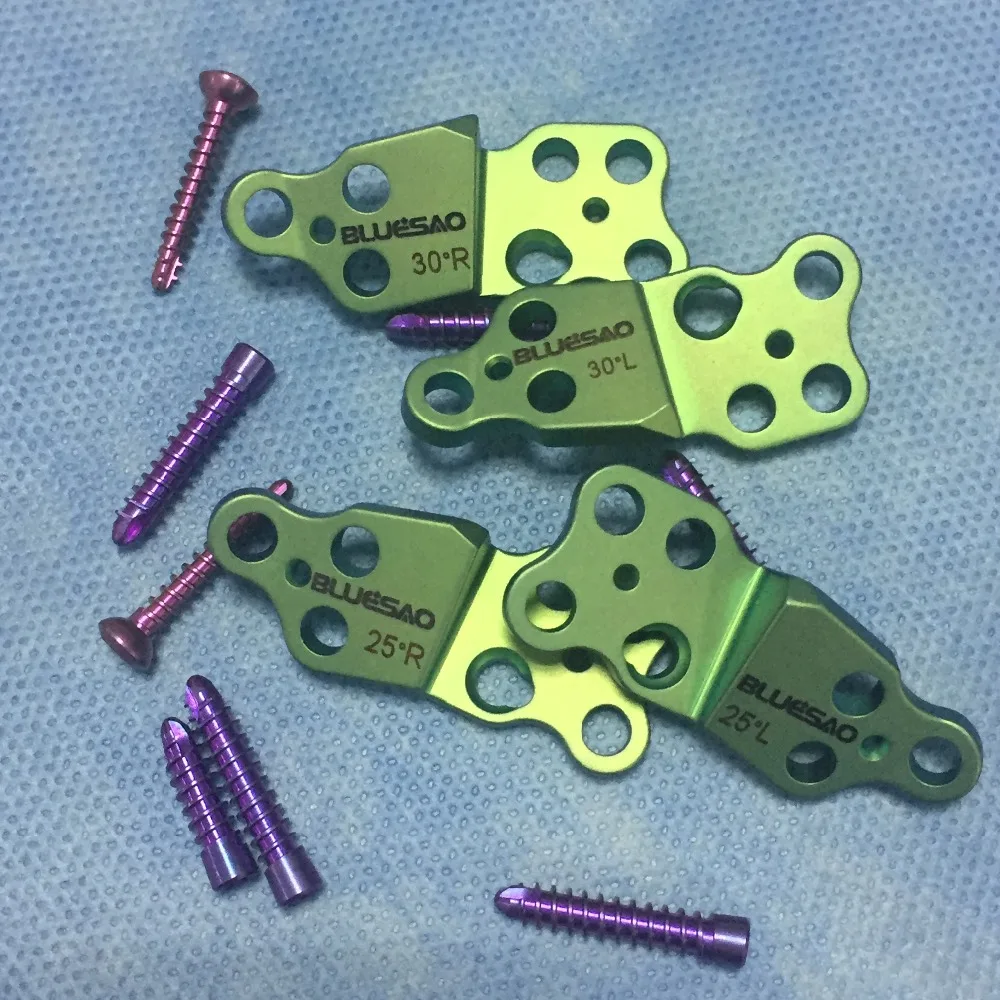 BlueSAO DPO plate 30 degree left&right titanium for veterinary surgery use small animal orthopedic instruments