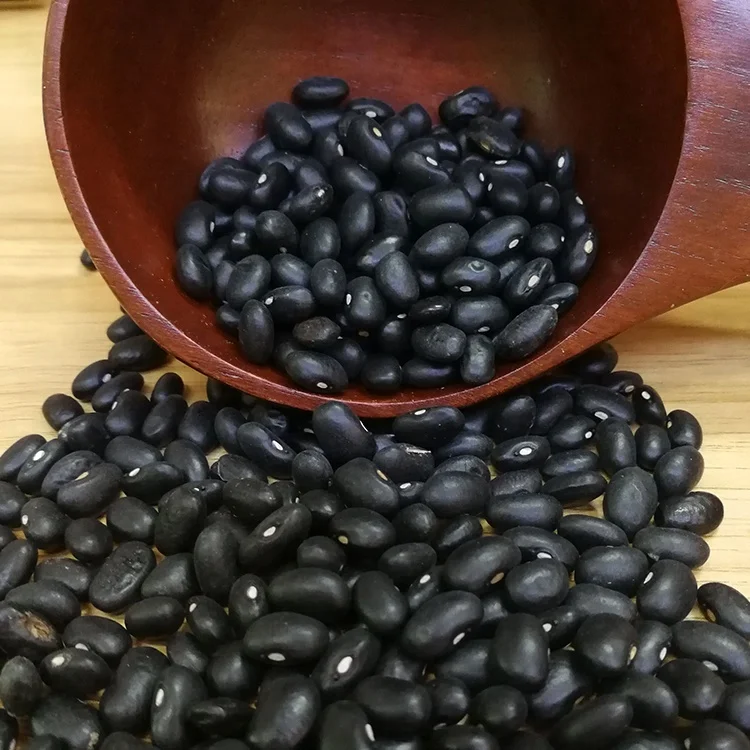 Wholesale soya beans black kidney bean soybean supplier
