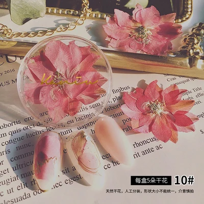 Manicure Ultra-thin Natural Dried Flowers Japanese Summer Cherry Blossom Dry Flowers For Nail Art