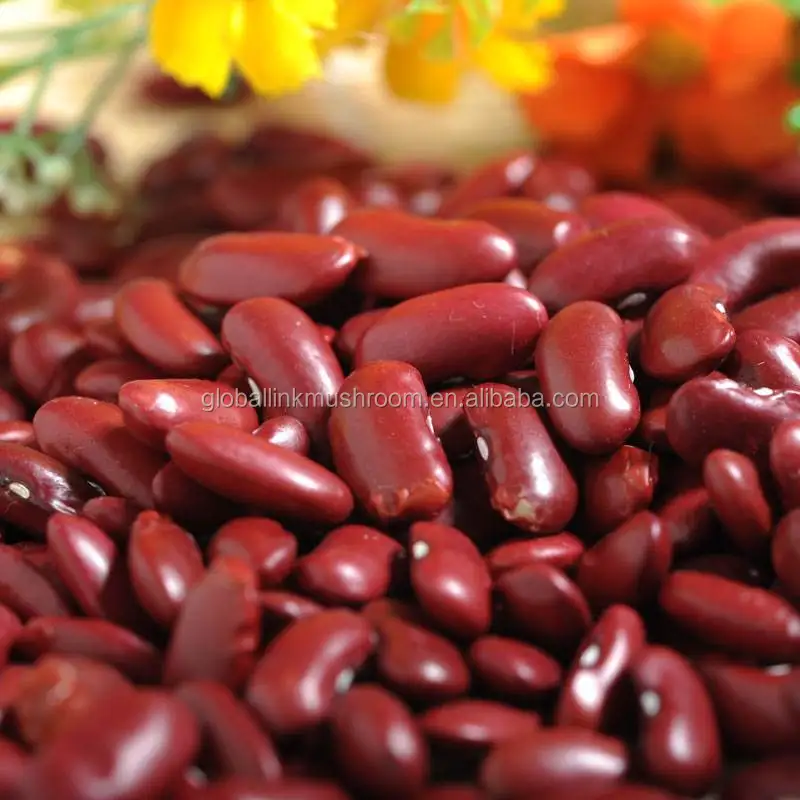 New Crop Red Kidney Beans British red kidney baens