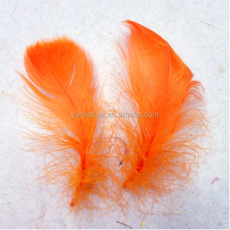 duck eiderdown duck feather natural goose feather free shipping for sale