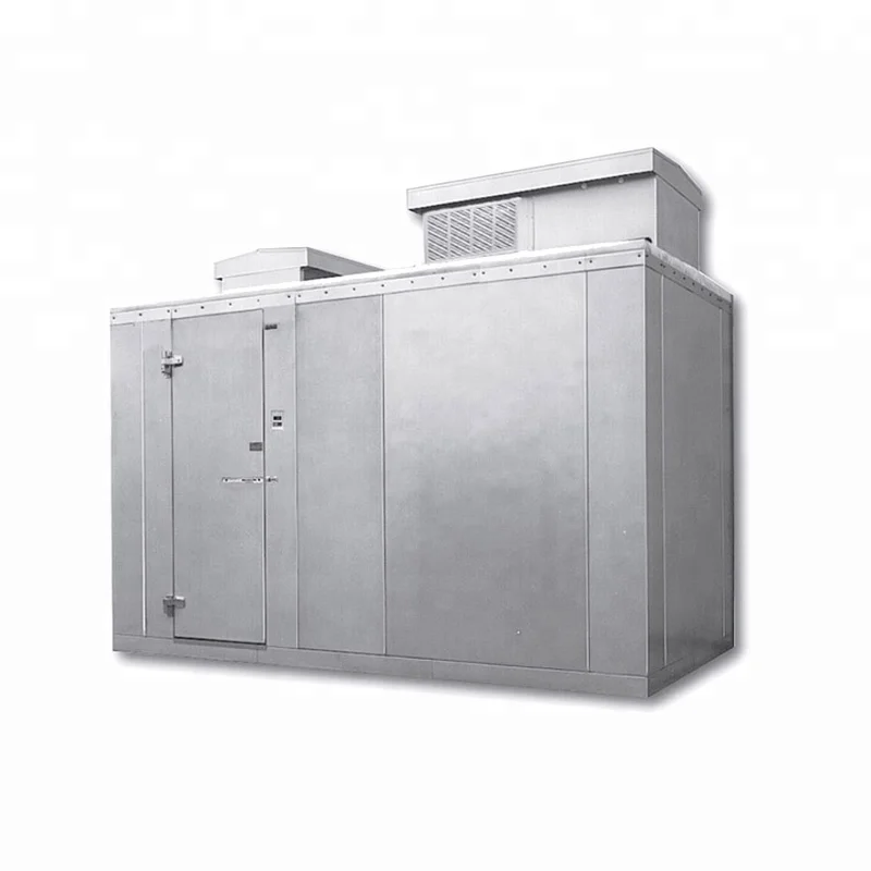 manufacturer walk cold fish storage freezer cold room refrigeration unit