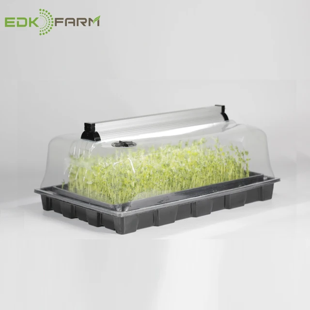 
mini greenhouse kit seedlings pots cutting plant propagation dome trays microgreen tray 
