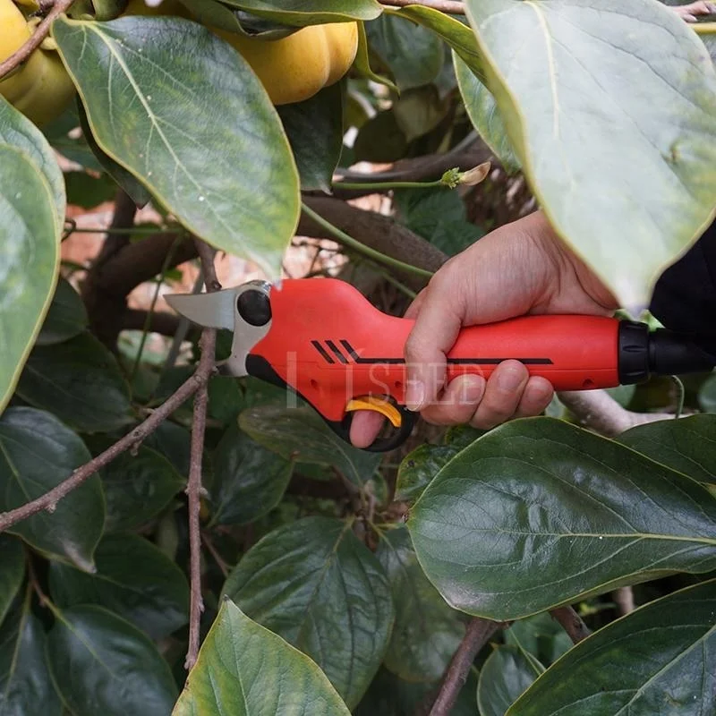 Li battery orchard secateurs best garden tools electric pruners