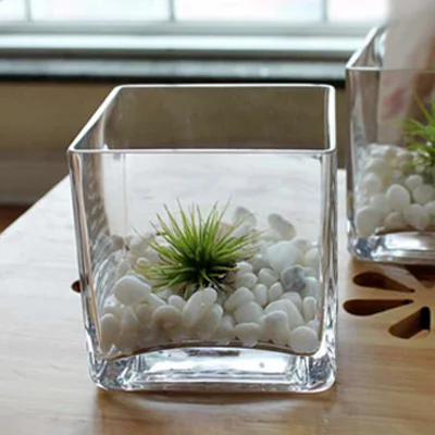 square glass pot for water plants/clear glass vase for flower arrangement/wedding favor table decoration centerpiece