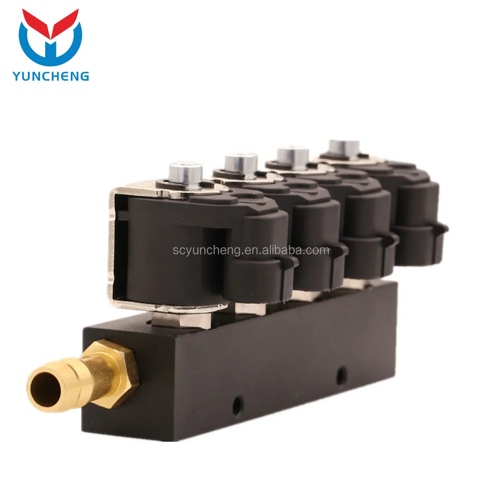 YCI01017 Auto Car Cng Lpg Gas Conversion Kit Injector Rail