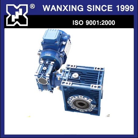 Double Reduction Hollow Shaft Output Worm Gear Speed Reducer Made in China