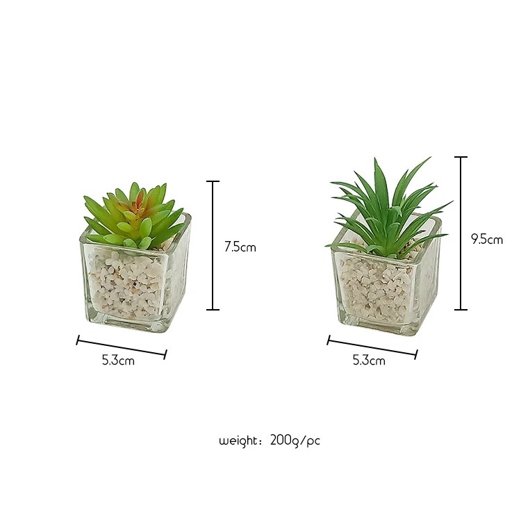 Small Glass Cube artificial succulent mini potted succulent faux plant set
