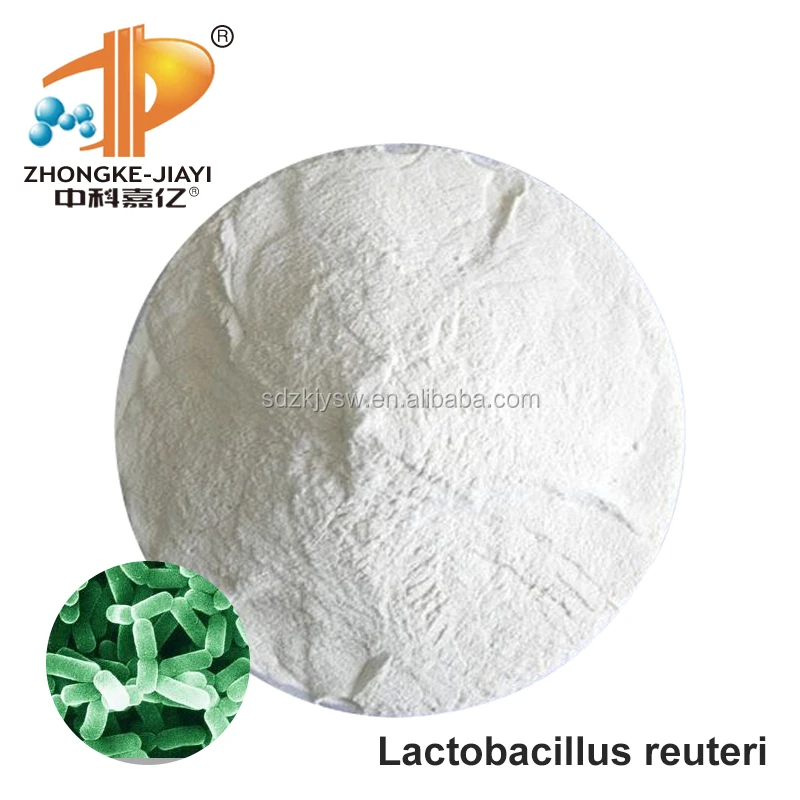 
China factory supplier Natural Lactobacillus Reuteri Freeze Dried Powdered probiotics 