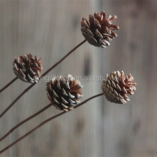 online store pinecone pine nut seed fruit handicrafts