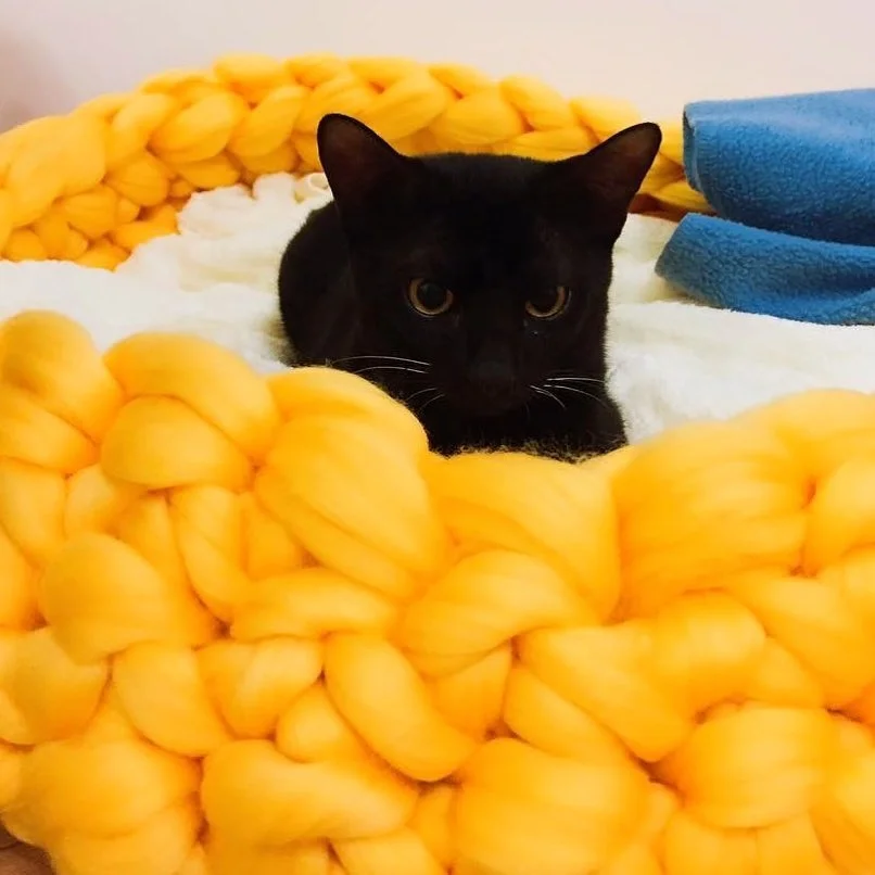 100% Acrylic Pet Sofa Dog Bed Luxury Cute Super Chunky Arm Knitting Yarn Soft Dog Bed Round