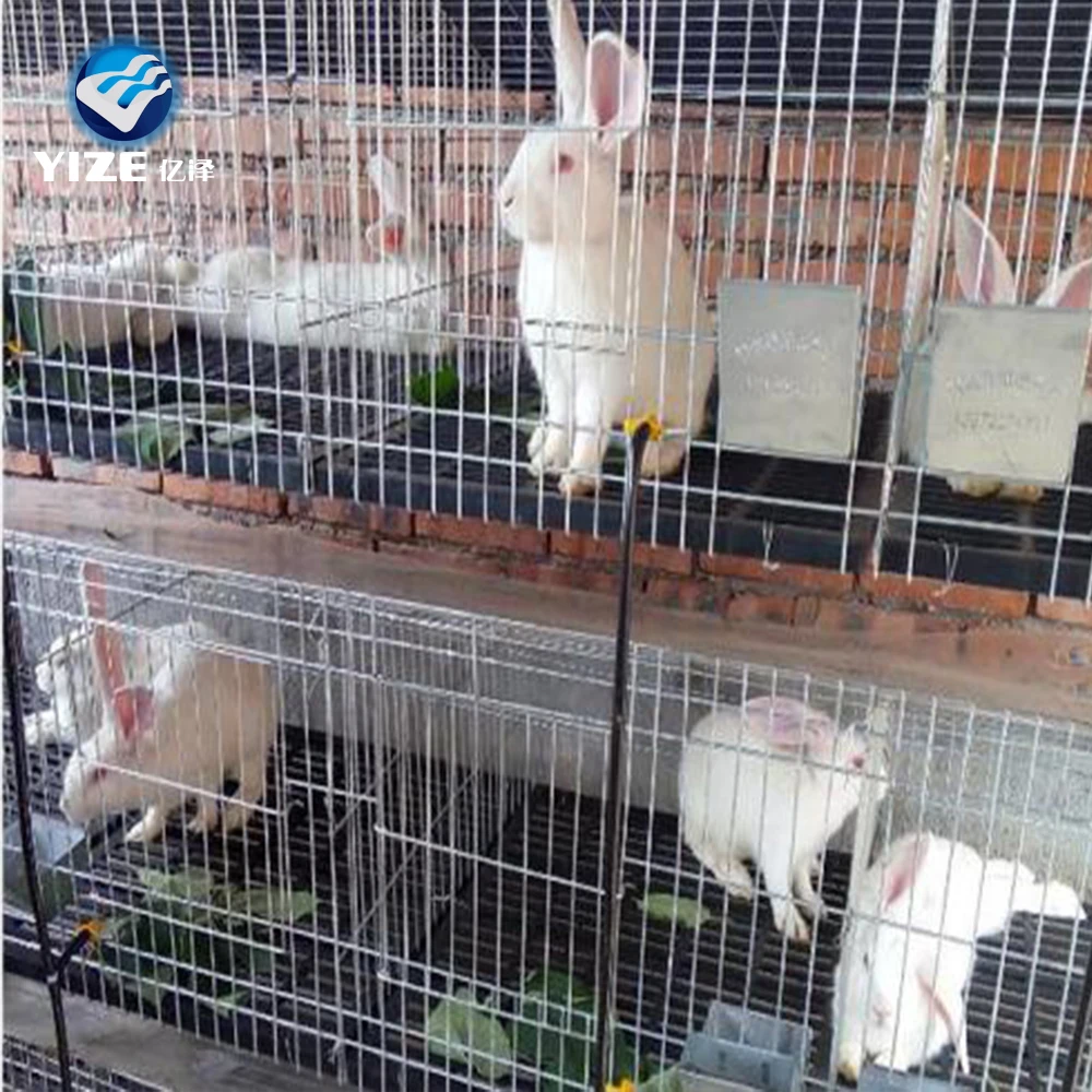 Selling galvanized welded rabbit mesh /rabbit cages indoor (Factory)