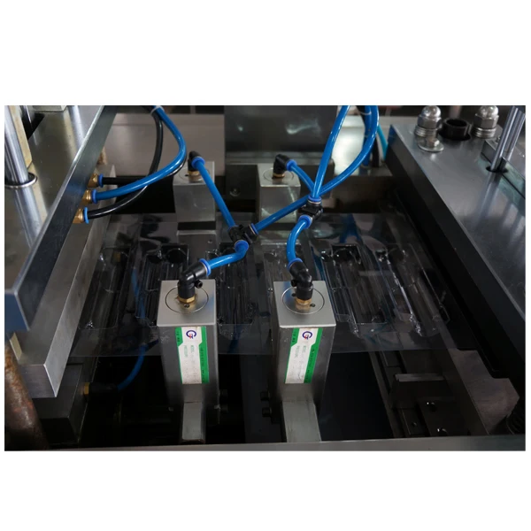 DZP-500 Gutta Percha Paper Card Plastic Blister Packaging Machine