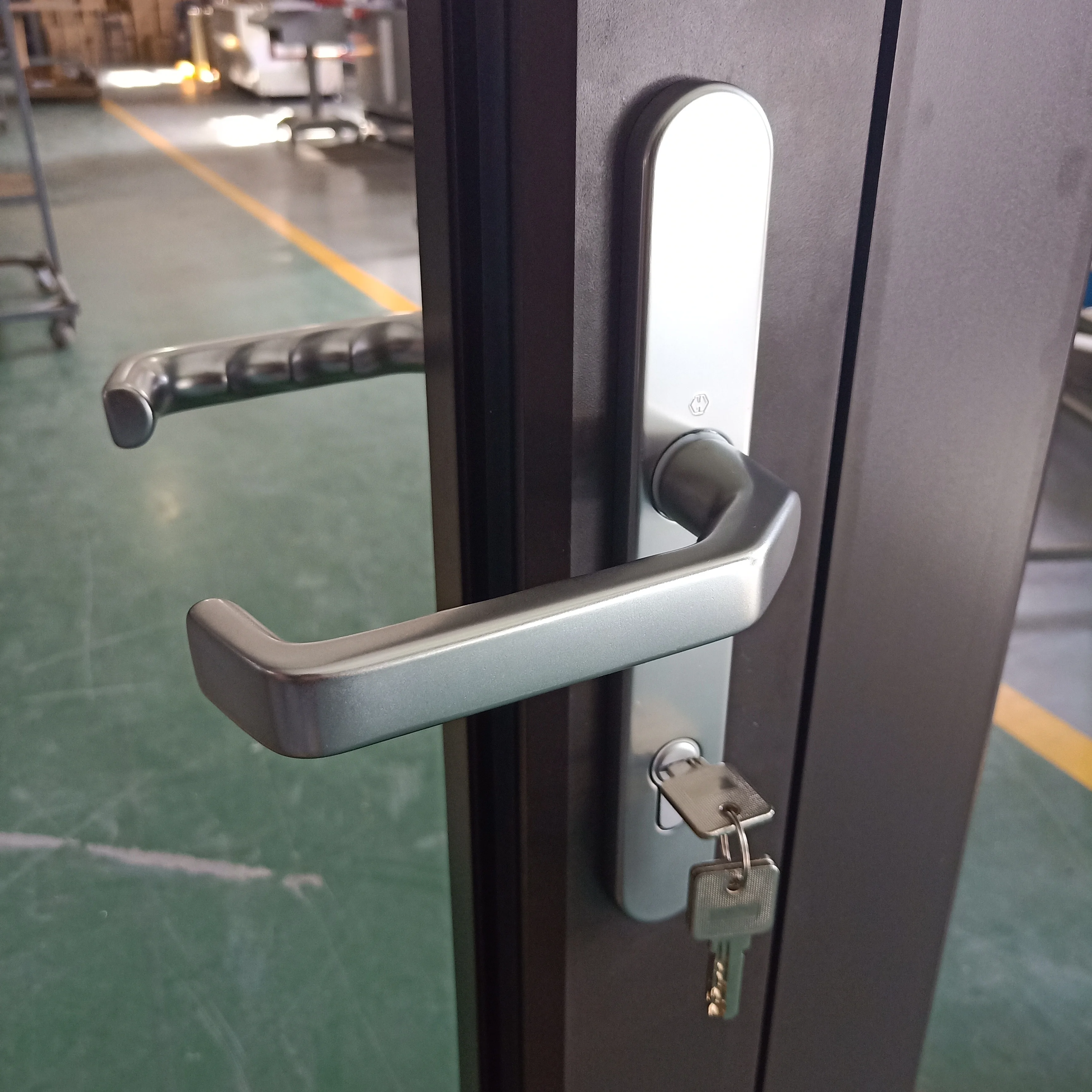 Roomeye aluminum single leaf aluminium door