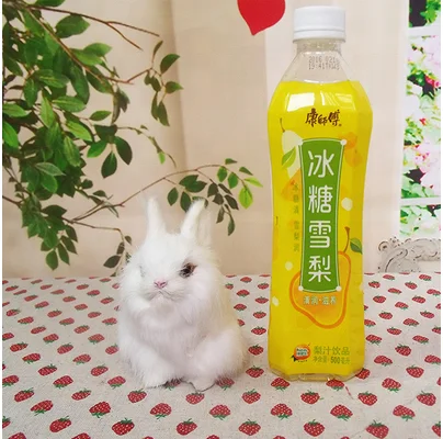 Easter Stuffed Animal Toy Bunny Real Hare Soft Toy Kids Gift Home Decoration