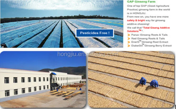 
High quality Extract For nutrition drink Korean Red Ginseng Liquid 