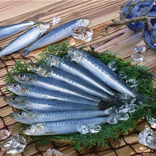 
2018 new arrive high quality with good price frozen sardine sardinella longiceps for canning and market 