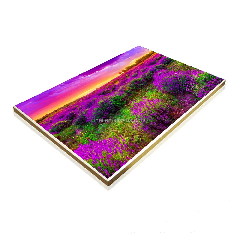 2024 Горячая Распродажа Электрический углеродный кристалл инфракрасная панель для печати изображений нагреватель