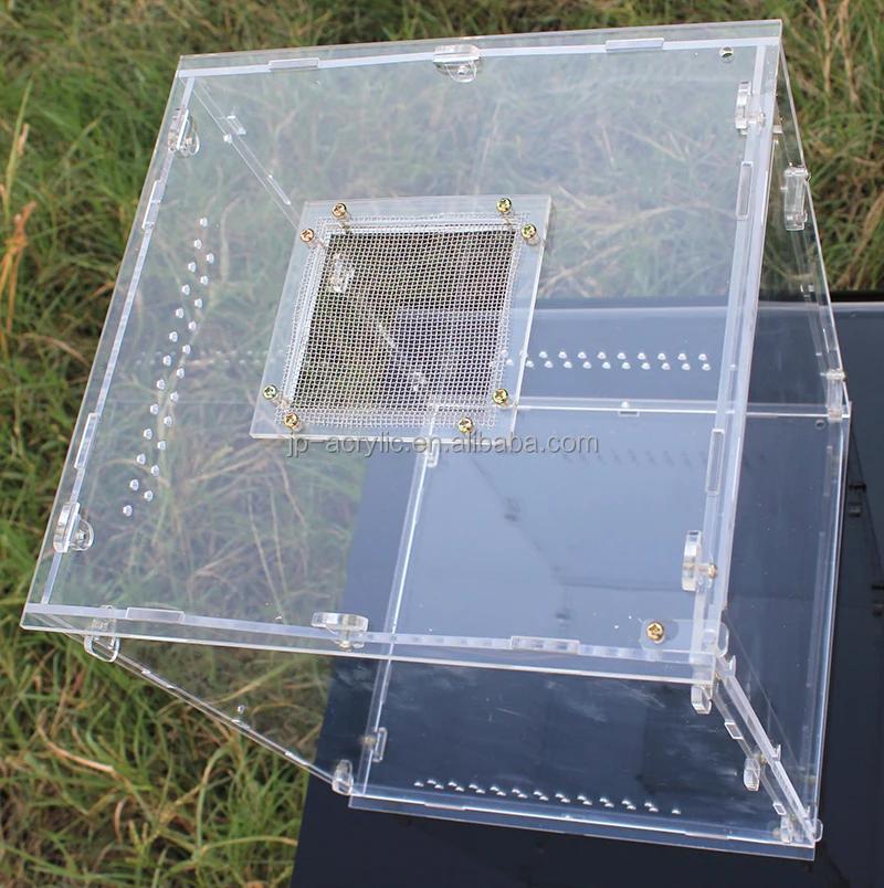 4 Sizes Clear Acrylic Plastic Reptile Terrarium with Lock